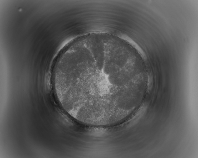 X0000087320878200705112135