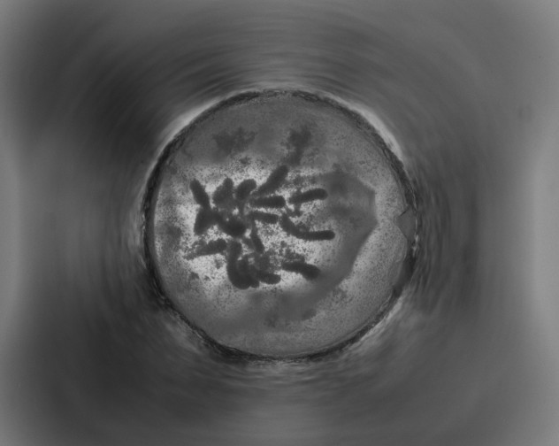 X0000087320879200705112135