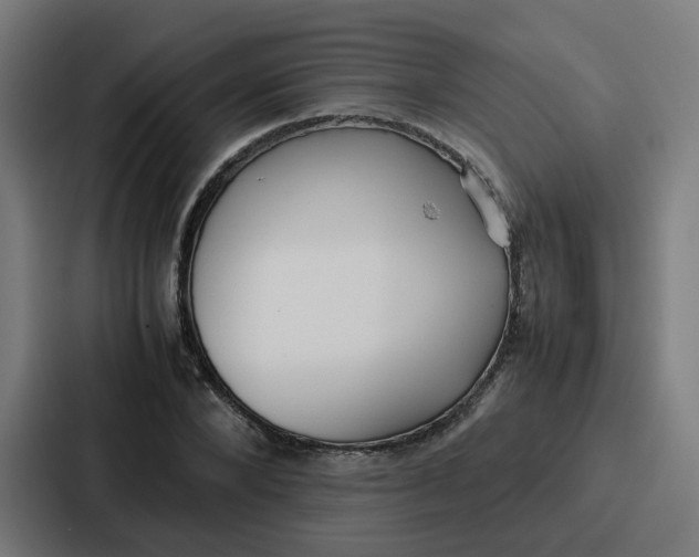 X0000087320880200705112135