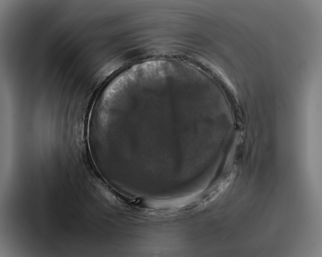 X0000087320881200705112135