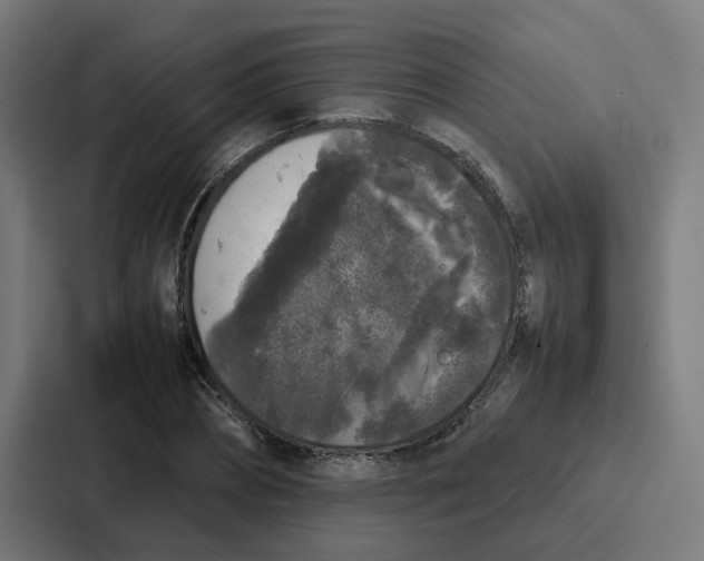 X0000087320882200705112135