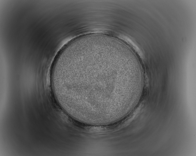 X0000087320883200705112135