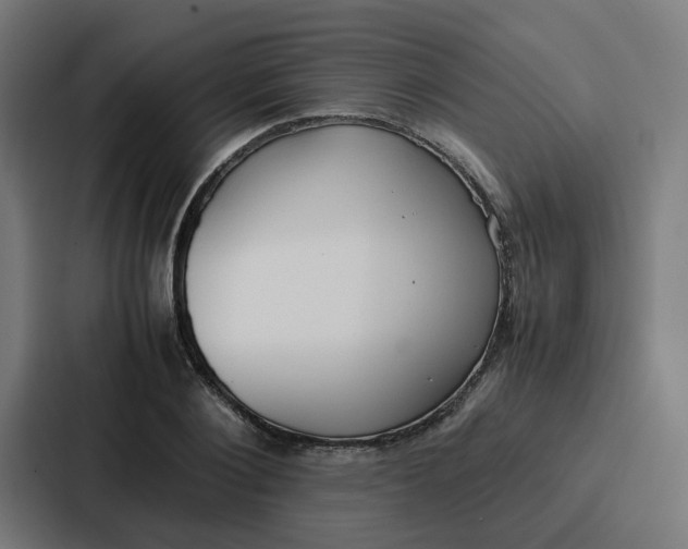 X0000087320884200705112135