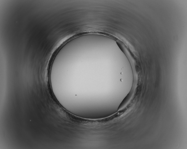 X0000087320885200705112135