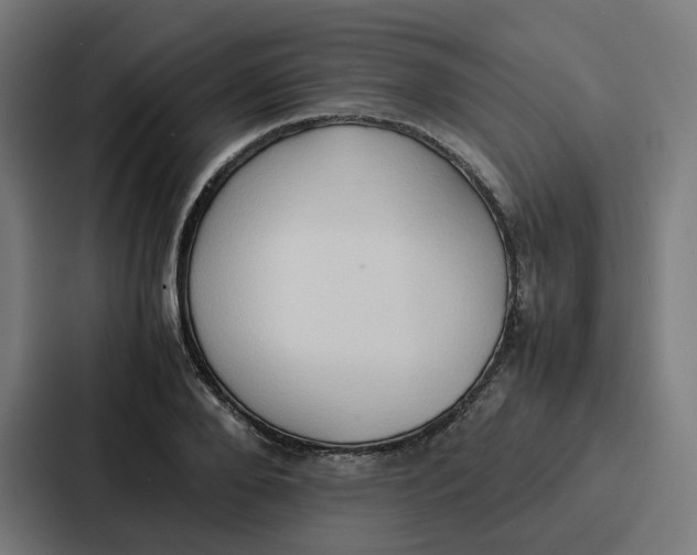 X0000087320888200705112135