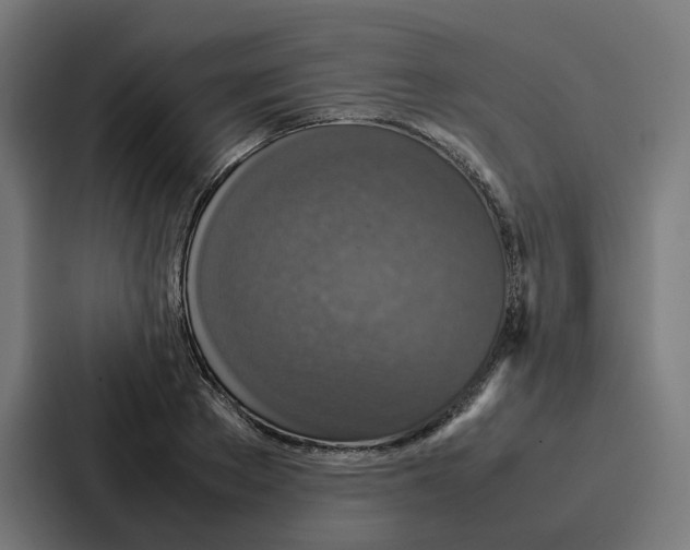 X0000087320889200705112135