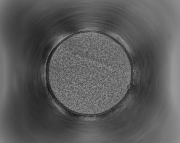 X0000087320890200705112135