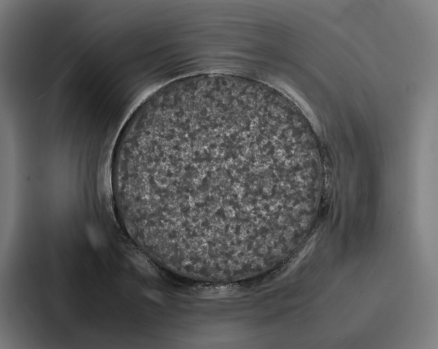 X0000087320891200705112135