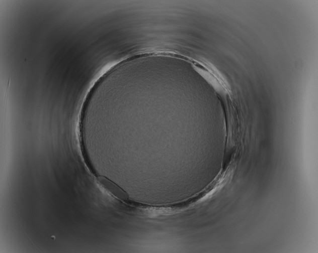 X0000087320893200705112135