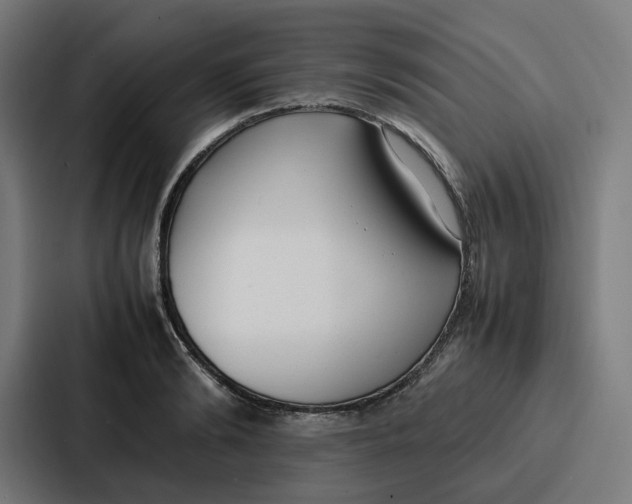 X0000087320894200705112135