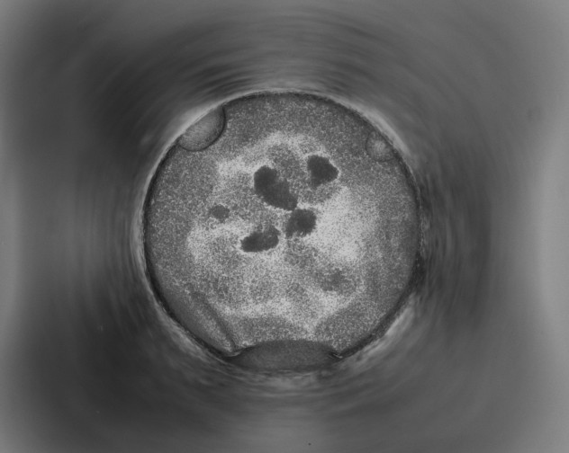 X0000087320895200705112134