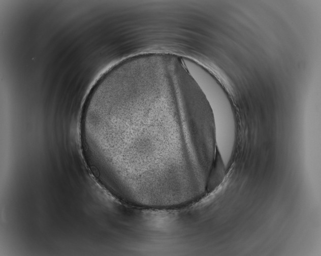 X0000087320896200705112134