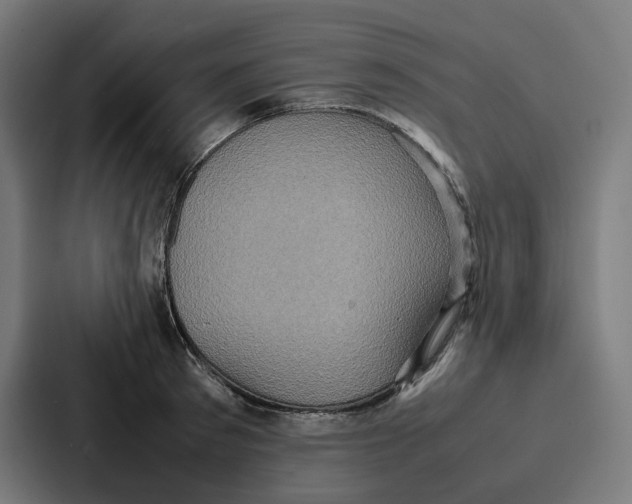 X0000087320897200705112134