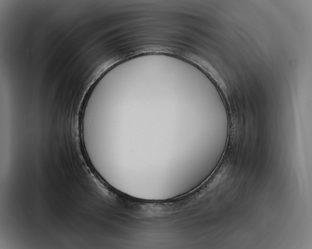 X0000087320898200705112134