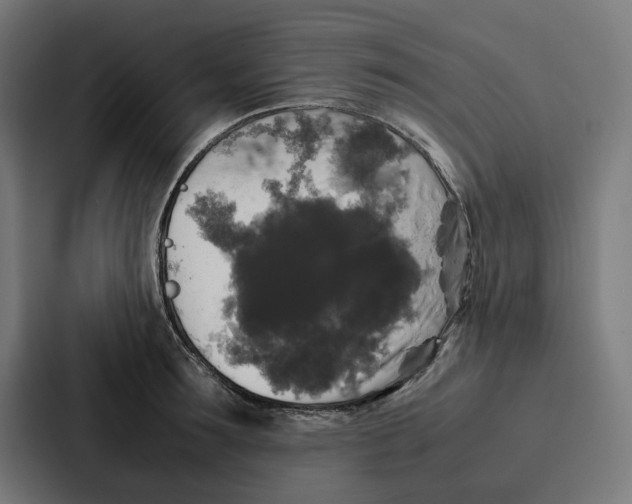 X0000087320899200705112134