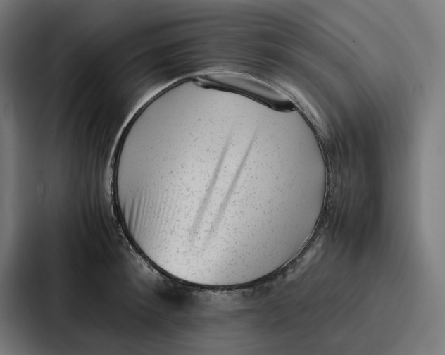 X0000087320900200705112134