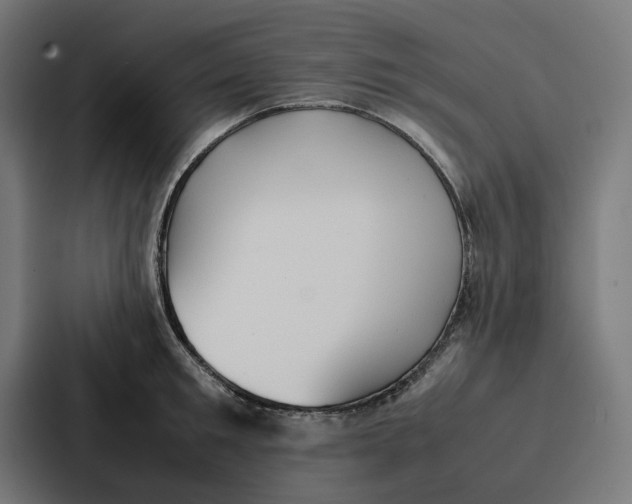 X0000087320901200705112134