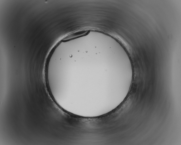 X0000087320902200705112134