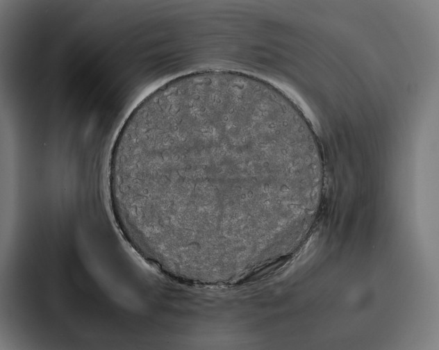 X0000087320903200705112134