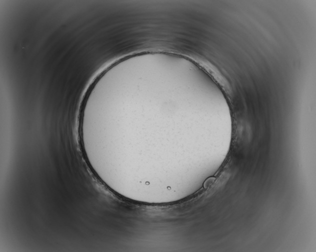 X0000087320904200705112134