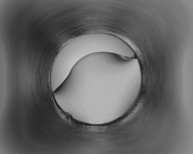 X0000087320905200705112134