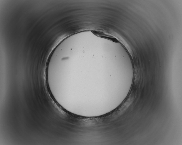 X0000087320906200705112134