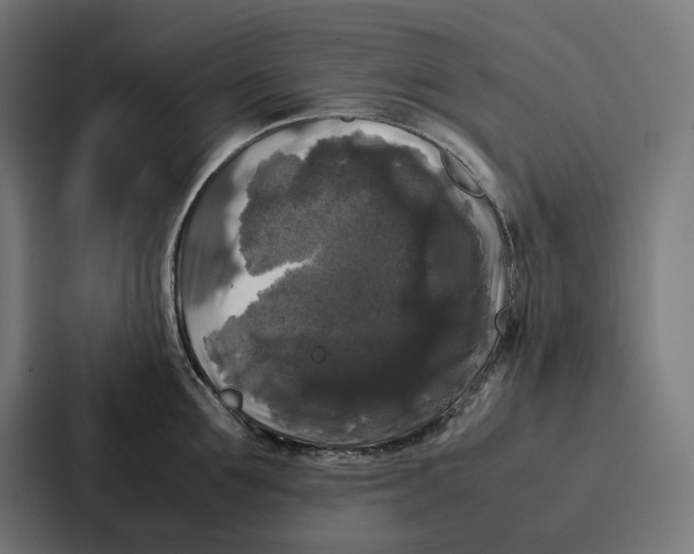 X0000087320907200705112134