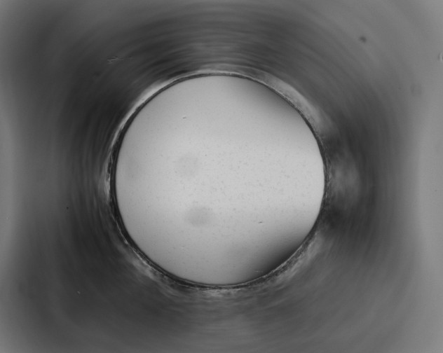 X0000087320908200705112134