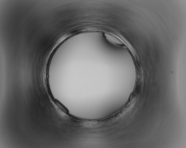 X0000087320909200705112134