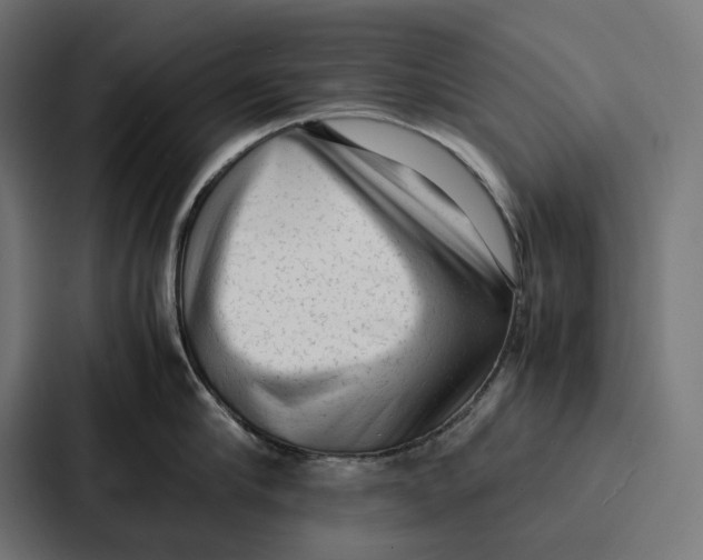 X0000087320910200705112134