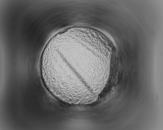 X0000087320911200705112134