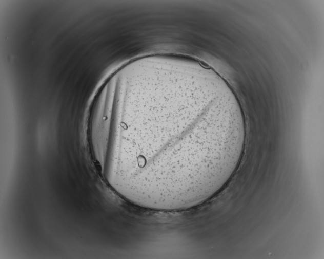 X0000087320912200705112134