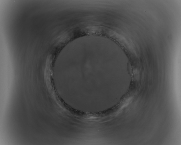 X0000087320913200705112134