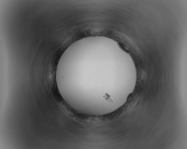 X0000087320914200705112134