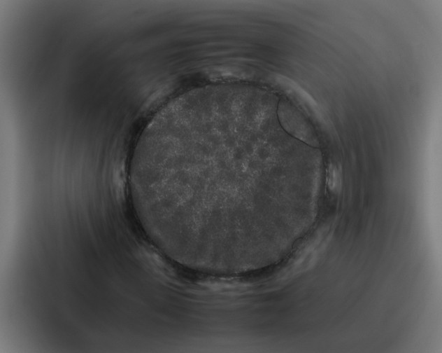 X0000087320915200705112134