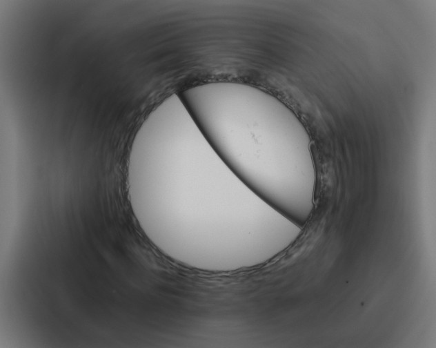 X0000087320916200705112134