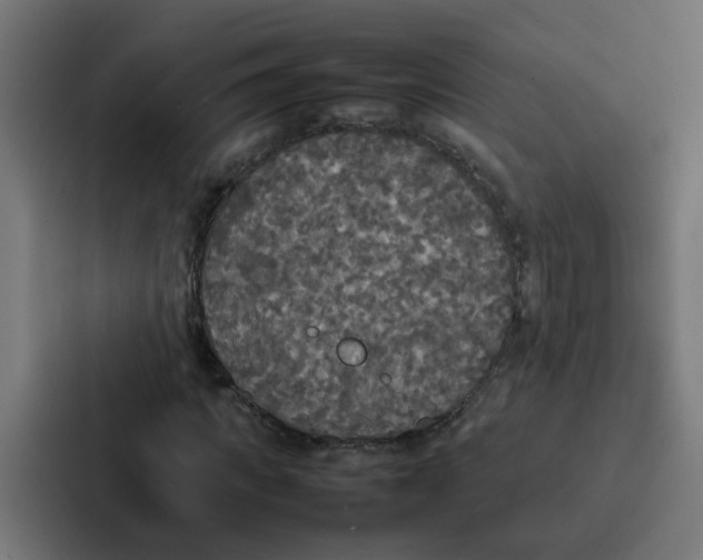 X0000087320917200705112134