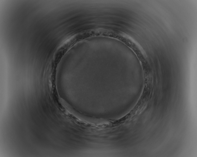 X0000087320919200705112134