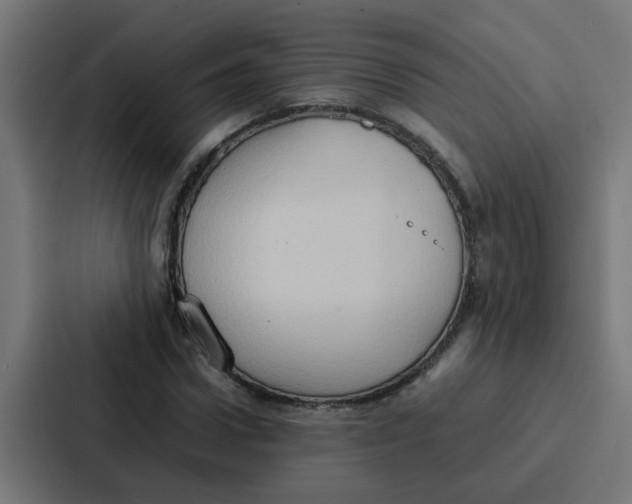 X0000087320922200705112134