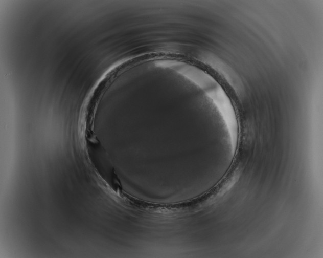 X0000087320923200705112134