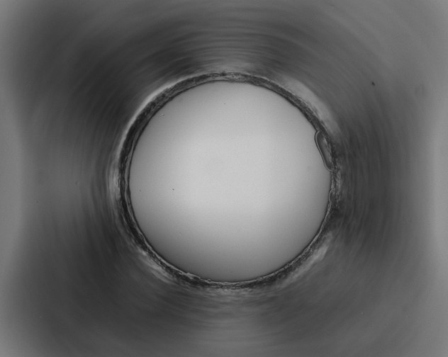 X0000087320924200705112134