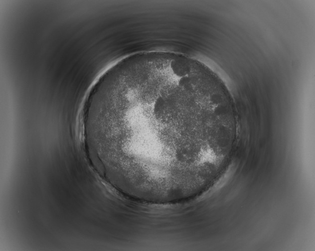 X0000087320925200705112134