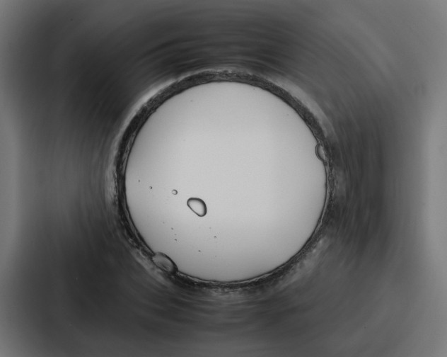 X0000087320927200705112134