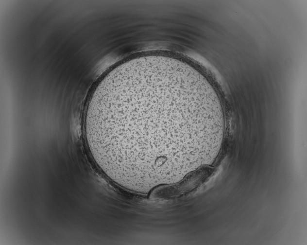 X0000087320929200705112134