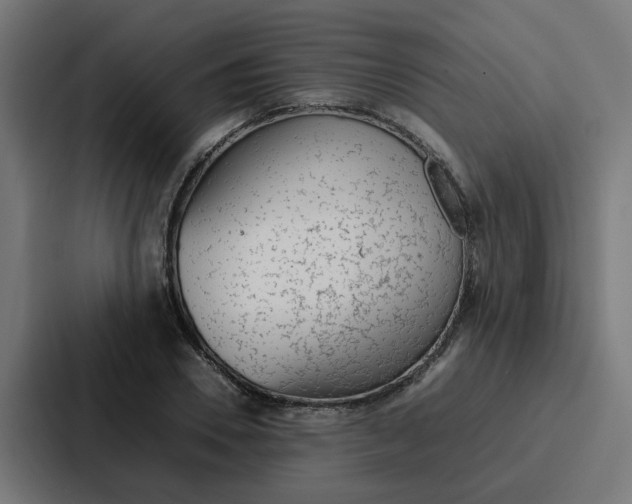 X0000087320930200705112134