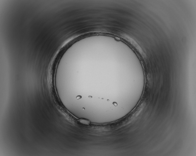 X0000087320931200705112134