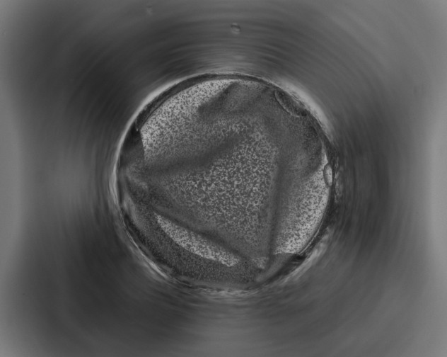 X0000087320932200705112134