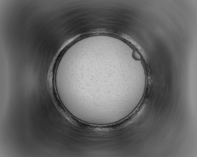 X0000087320933200705112134