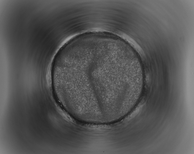 X0000087320934200705112134