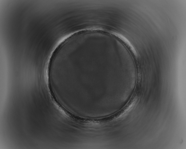 X0000087320935200705112134